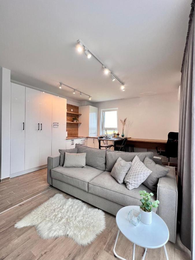 Blue Boho Studios And Apartments براشوف المظهر الخارجي الصورة