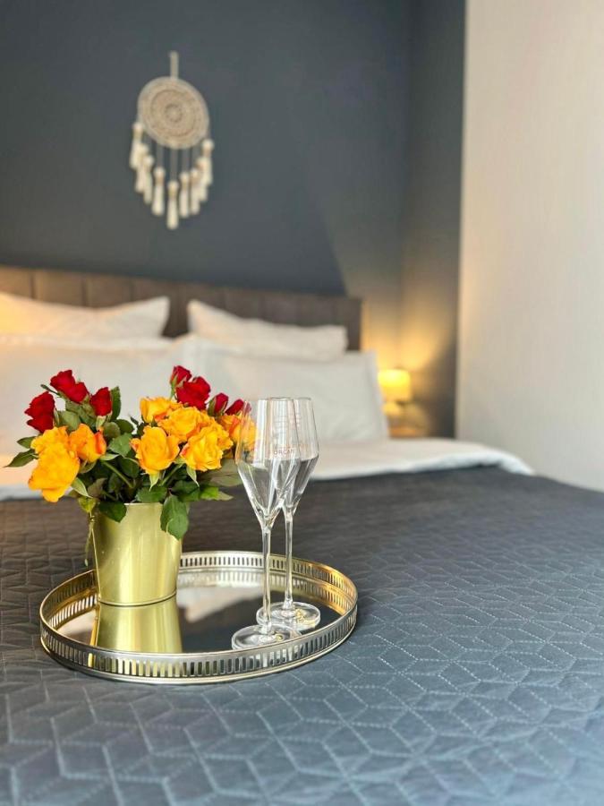 Blue Boho Studios And Apartments براشوف المظهر الخارجي الصورة