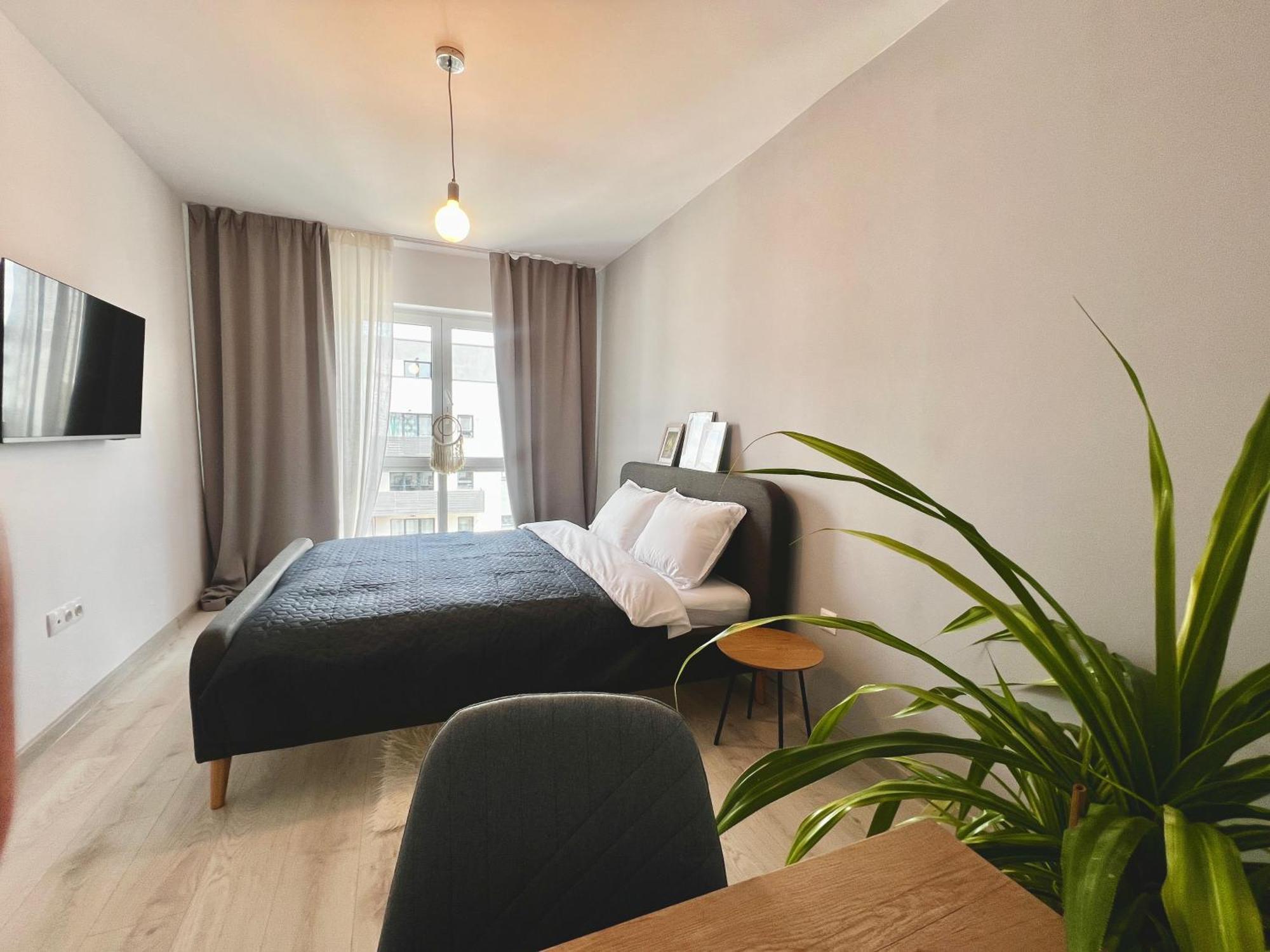 Blue Boho Studios And Apartments براشوف المظهر الخارجي الصورة