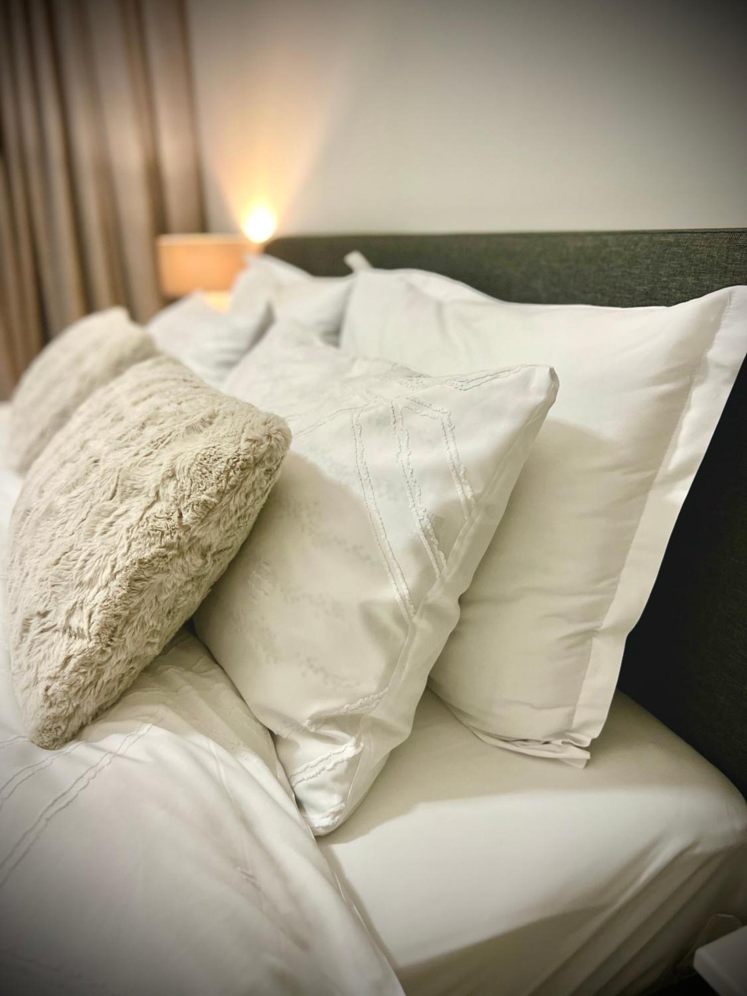 Blue Boho Studios And Apartments براشوف المظهر الخارجي الصورة